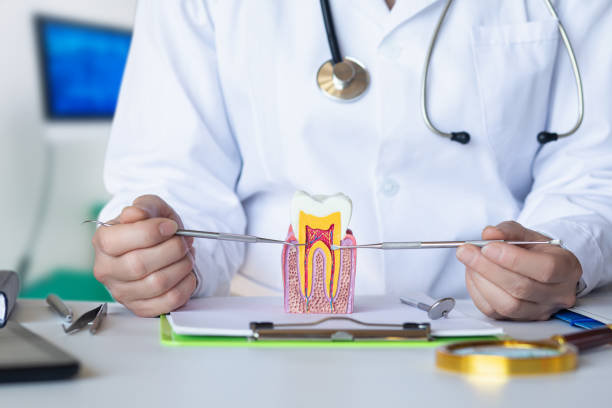 Best Emergency Dental Care for Broken or Chipped Teeth in Republic, PA